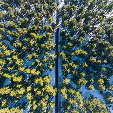 Impressionen aus der ARENA