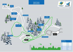 Sprint Frauen Sprint Frauen