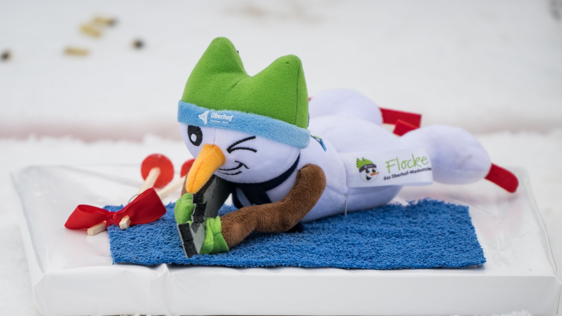  BMW IBU World Cup Biathlon Oberhof Bildidee 